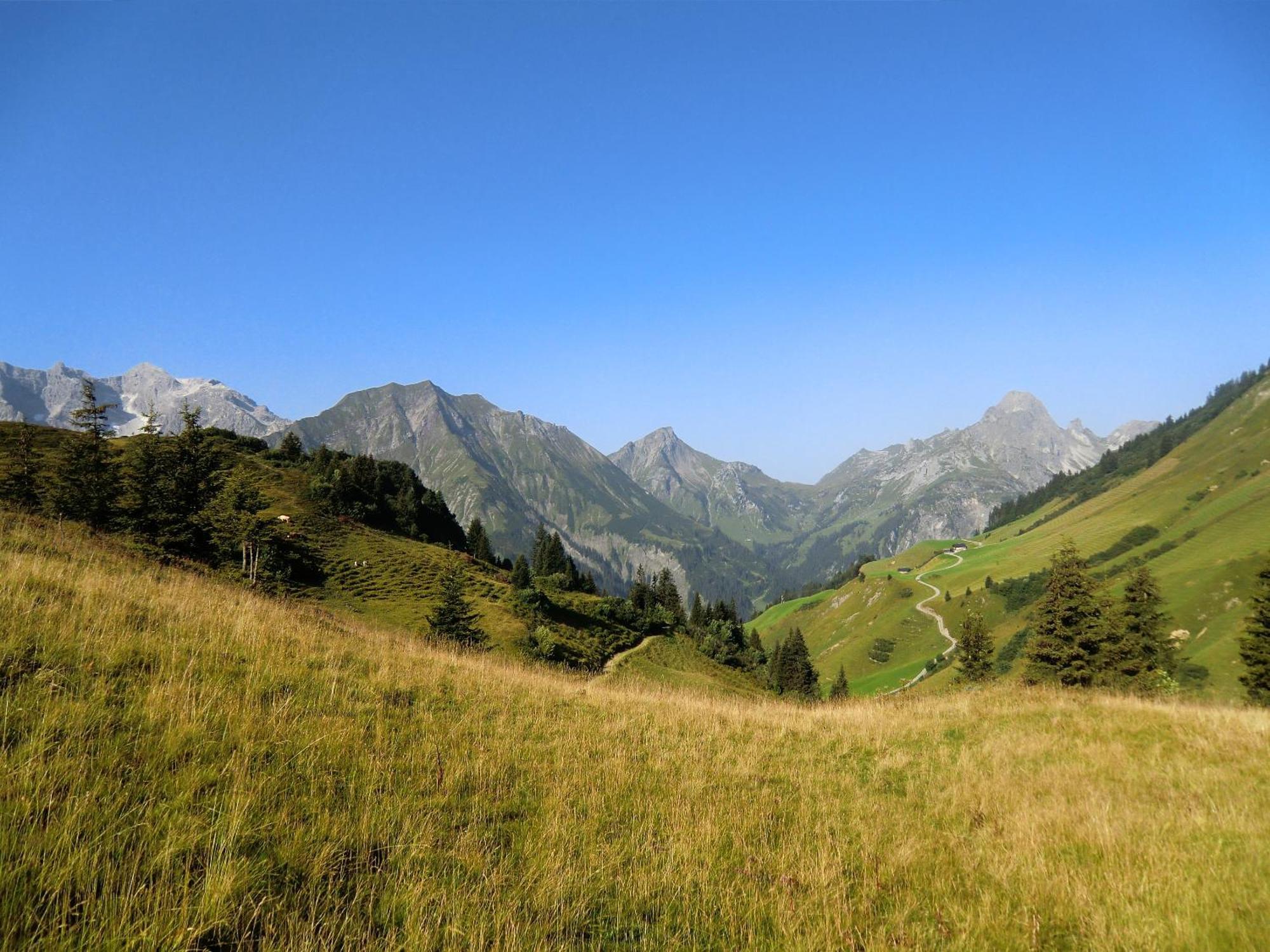 SchröckenHaus Rothorn公寓 外观 照片